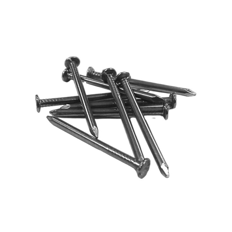 COMMON WIRE NAIL 100MM